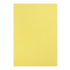 Бумага цветная бархатная А5, 10 листов, 10 цветов Мульти-Пульти, в папке - Фото 9