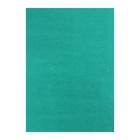 Бумага цветная бархатная А5, 10 листов, 10 цветов Мульти-Пульти, в папке - Фото 10