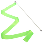 Лента гимнастическая с палочкой, 4,3 м, цвета МИКС - Фото 6