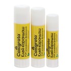 Клей-карандаш, набор 3 штуки (9 грамм, 15 грамм, 21 грамм) - фото 20544092