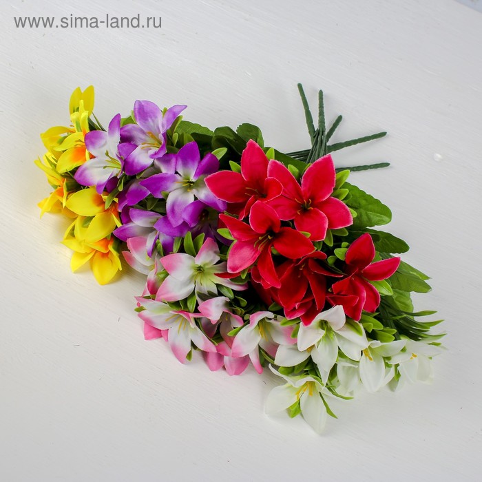 Букет "Фрезия" 7*30 см, микс - Фото 1