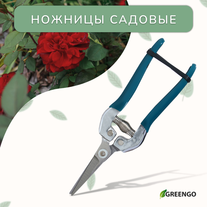 Ножницы садовые, 7" (18 см), с металлическими ручками, обрезиненная ручка, зелёные Greengo - Фото 1