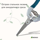 Ножницы садовые, 7" (18 см), с металлическими ручками, обрезиненная ручка, зелёные Greengo - Фото 2