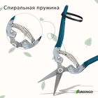 Ножницы садовые, 7" (18 см), с металлическими ручками, обрезиненная ручка, зелёные Greengo - Фото 5