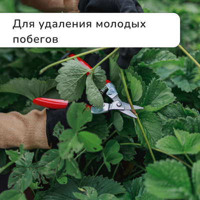 Ножницы садовые, 7" (18 см), с металлическими ручками, обрезиненная ручка, красные, Greengo