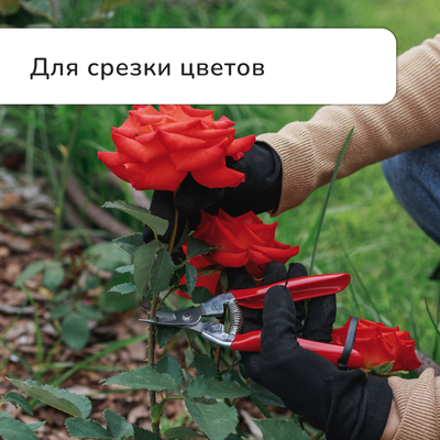 Ножницы садовые, 7" (18 см), с металлическими ручками, обрезиненная ручка, красные, Greengo