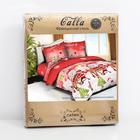 Постельное бельё 2-спальное Galla, полисатин - Фото 3