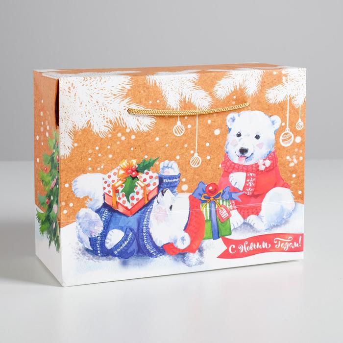 Пакет‒коробка «С Новым годом!», 23 × 18 × 11 см