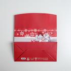 Пакет‒коробка «С Новым годом!», 23 × 18 × 11 см - фото 9410160