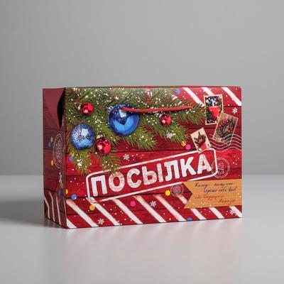 Пакет‒коробка «Новогодняя посылка», 28 х 20 х 13 см, Новый год