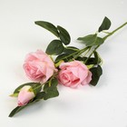 Цветы искусственные "Розы с бутоном" 7*60 см, розовый - Фото 1