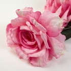 Цветы искусственные "Три пышных розы" 14*110 см, розовый - Фото 2