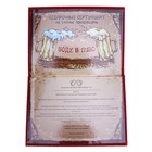 Сертификат "Превращать воду в пиво", 21*29,7 см, бумага - Фото 2