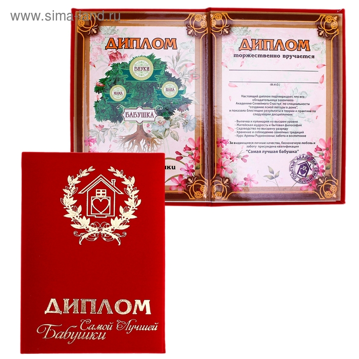 Диплом Бабушке, 21*29,7 см, бумага (491013) - Купить по цене от 113.74 ...