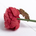 Искусственный цветок "Азиатский лютик" красный 25 см - Фото 3