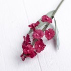 Искусственный цветок "Лаванда" красная 34 см - Фото 2