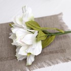 Искусственный цветок "Альстромерия" белая 48 см - Фото 3