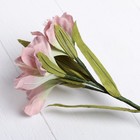Искусственный цветок "Альстромерия" розовая 48 см - Фото 3