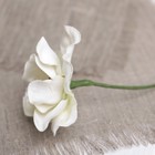 Искусственный цветок "Гардения" белый 40 см - Фото 3