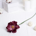 Искусственный цветок "Гардения" бордовый 40 см - Фото 1