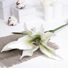 Искусственный цветок "Лилия" белая 48 см - Фото 1