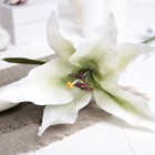 Искусственный цветок "Лилия" белая 48 см - Фото 2