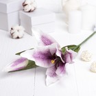 Искусственный цветок "Лилия" сиреневая 48 см - Фото 1
