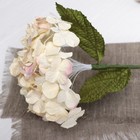 Искусственный цветок "Гортензия" кремовая 45 см - Фото 3