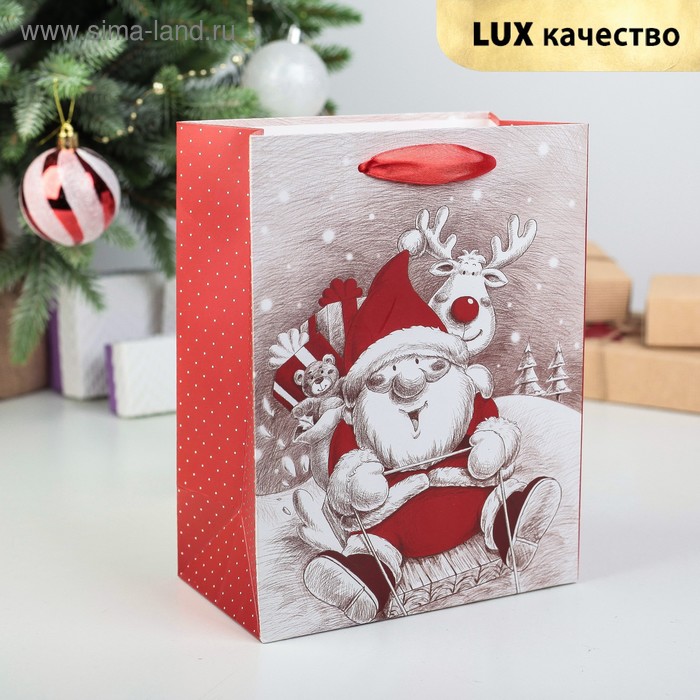 Пакет ламинированный "Дед Мороз", люкс, 18 х 10 х 23 см - Фото 1
