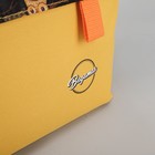 Рюкзак молодёжный "Совята", с косметичкой, отдел на молнии, цвет жёлтый/чёрный - Фото 5