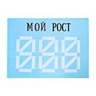 Набор для фотосессии малыша - Фото 3