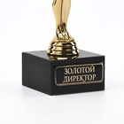 Кубок наградная фигура «Золотой директор», оскар, пластик, подставка камень, 18 см - Фото 5