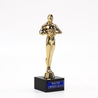 Кубок наградная фигура «Мастер своего дела», оскар, пластик, подставка камень, 18 см - Фото 2