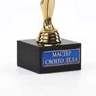Кубок наградная фигура «Мастер своего дела», оскар, пластик, подставка камень, 18 см - Фото 5