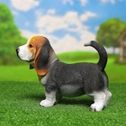 Садовая фигура из полистоуна «Щенок бассет-хаунда», 16×13×25 см - Фото 5