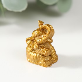 Нэцкэ фигурка «Слоны», полистоун, золотой, набор 6 штук 3×2.4×1.8 см