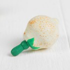 Волчок «Овощи и фрукты», МИКС - Фото 5