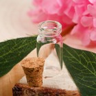 Основа для творчества и декорирования - бутылочка с пробкой, 1 мл, бутылочка: 2.5×0.7 см - Фото 2