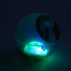 Мяч «Единорог», световой, с водой, 6,5 см, виды МИКС - Фото 4