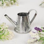 Миниатюра «Лейка», цвет металлический - Фото 2