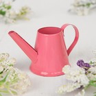 Миниатюра «Лейка», цвет розовый - Фото 2