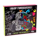 Головоломка металлическая «Мозг человека», набор 5 шт. - Фото 4