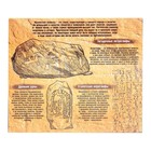 Головоломка металлическая «Магические символы», набор 5 шт. - Фото 8