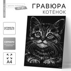 Гравюра «Котёнок» с металлическим эффектом «серебро» А4 - фото 318097394