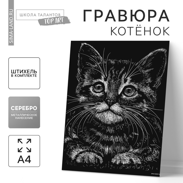Гравюра «Котёнок» с металлическим эффектом «серебро» А4 - Фото 1