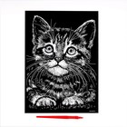 Гравюра «Котёнок» с металлическим эффектом «серебро» А4 - фото 8399615