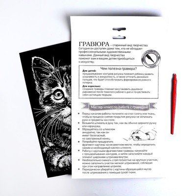 Гравюра «Котёнок» с металлическим эффектом «серебро» А4