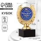 Кубок «Лучший папа», наградная фигура, пластик, золото, 13 см - Фото 1