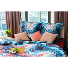 УЦЕНКА Постельное бельё Этель 2 сп «Агат» 175х205 см, 210х240 см, 70х70+5 см,-2 шт - Фото 2