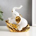 Сувенир керамика "Белый слон с цветами" 14,5х14,8х5,2 см - Фото 4